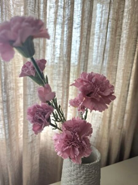 Artificial flowers no. 487- carnations