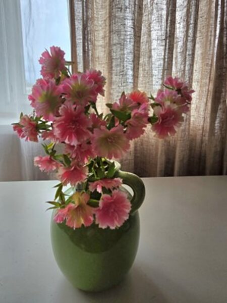 Artificial flowers No. 544 - student carnations