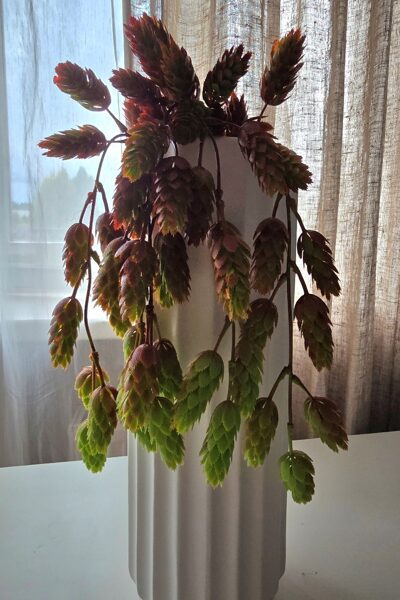 Artificial flowers No. 556- branch