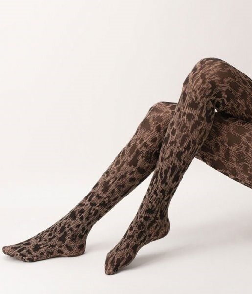 tights Fashion Savannah camel leopard